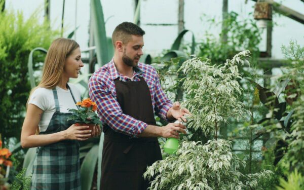 Gudrūs sodininkų patarimai: kaip sukurti mini šiltnamį ir automatinį laistymą namuose