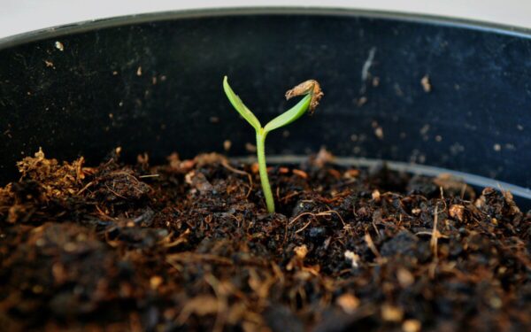 Daigai stiebiasi ir silpsta? Šią nemokamą priemonę namuose turi kiekvienas, išbandykite dabar