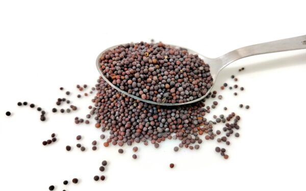 Pasėkite dabar ir po mėnesio neatpažinsite savo dirvos: natūrali trąša, kuri keičia viską