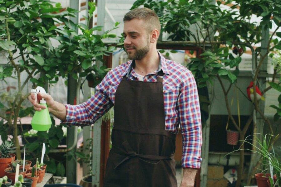 Seni dangteliai vietoj šiukšliadėžės keliauja į šiltnamį: daržininkai sako, kad efektas matomas iš karto