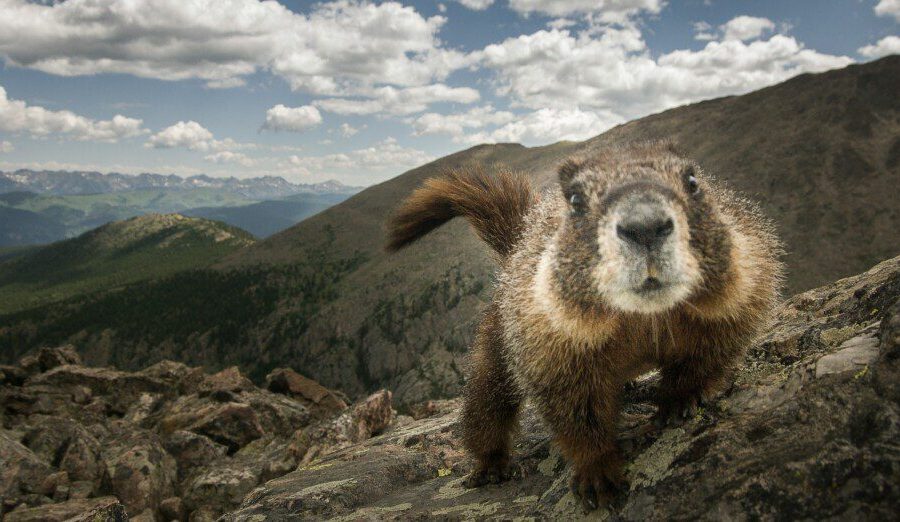 Garsiausias pasaulio sinoptikas jau paskelbė, kiek dar truks žiema