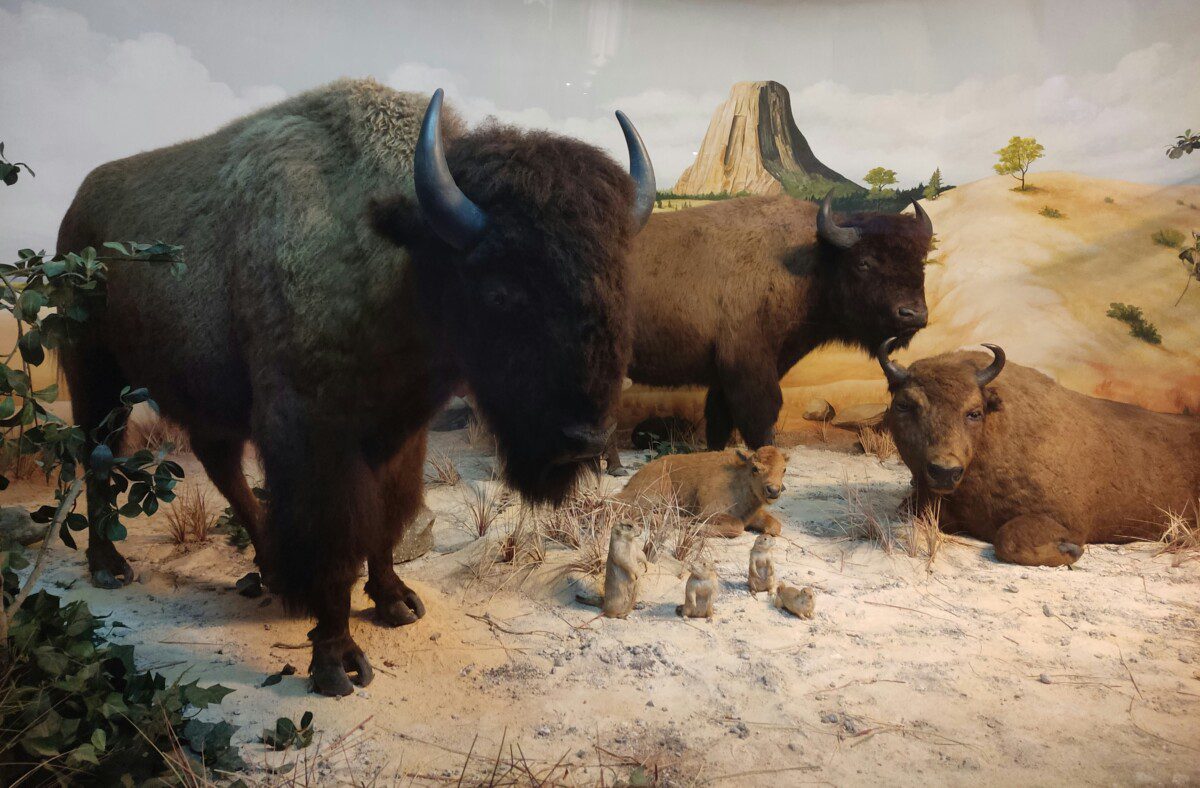 Šis Lietuvos muziejus traukia rekordines minias: naujos ekspozicijos vilioja tūkstančius