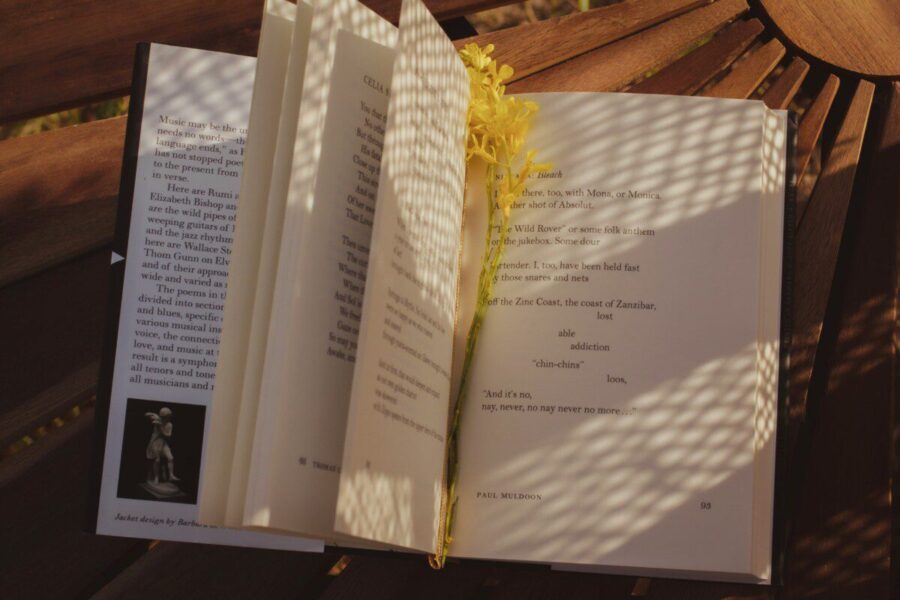 Skandalingi rašytojų dialogai atgyja ant knygų viršelių: paroda Vilniuje provokuoja skaitytojus