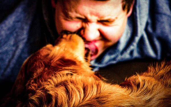 Kodėl šuo jus nuolat laižo? Veterinarai įspėja kiekvieną, tikroji priežastis nustebins daugelį