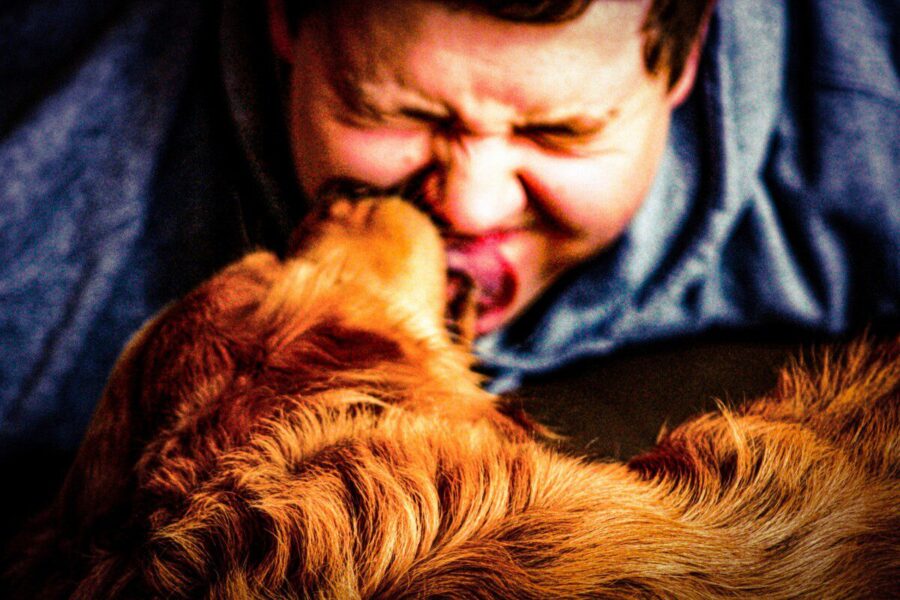 Kodėl šuo jus nuolat laižo? Veterinarai įspėja kiekvieną, tikroji priežastis nustebins daugelį