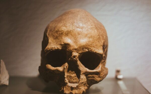 Archeologai rado milžino skeletą: skylėta kaukolė atskleidė šiurpią tiesą apie jo gyvenimą