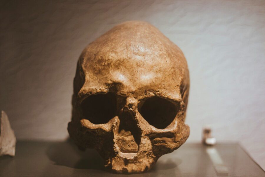 Archeologai rado milžino skeletą: skylėta kaukolė atskleidė šiurpią tiesą apie jo gyvenimą