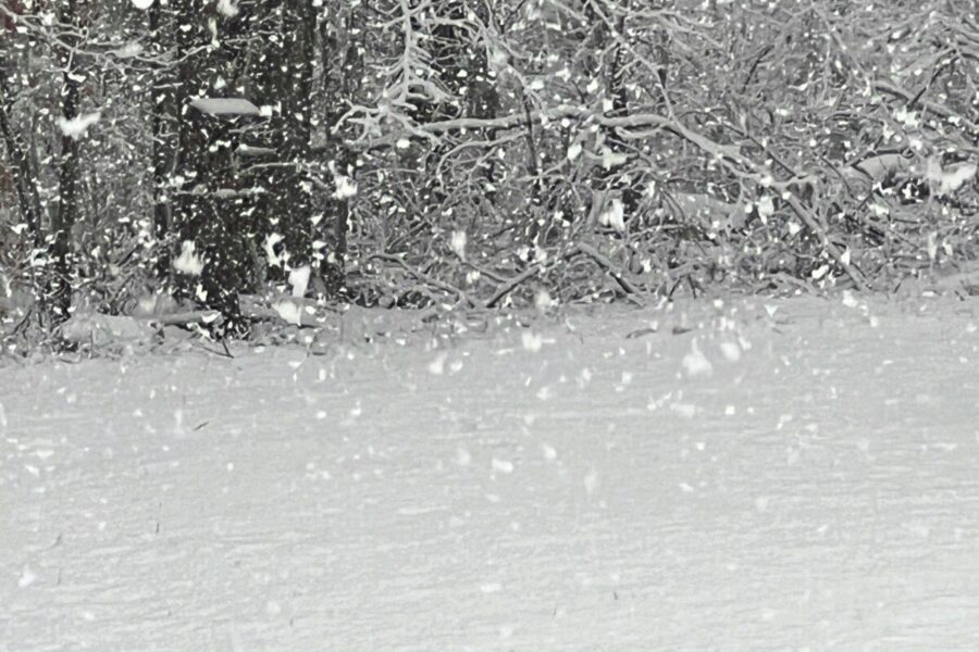 Šaltis traukėsi, bet ketvirtadienį Lietuvą pasieks tai, kas gali pakeisti visų planus per vieną naktį