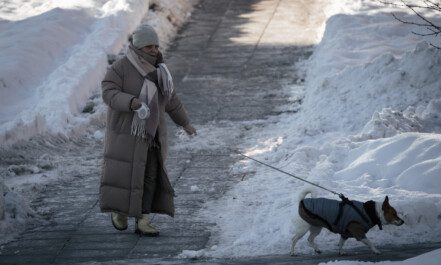 Žiema. ELTA / Andrius Ufartas