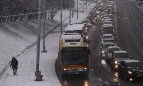 Gedimino Bartuškos (ELTA) nuotr.