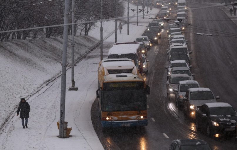 Gedimino Bartuškos (ELTA) nuotr.