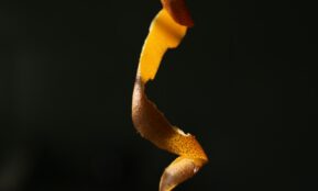 Orange peel spiral against dark background
