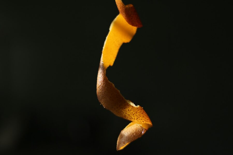Orange peel spiral against dark background