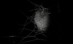 black and white abstract painting