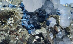 Close-up of metallic pyrite crystals with quartz and blue minerals