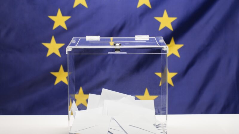 Ar Lietuva peržengia raudoną liniją? Teisininkai abejoja konservatorių siūlymu riboti balsavimo teisę
