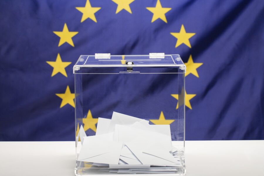 Ar Lietuva peržengia raudoną liniją? Teisininkai abejoja konservatorių siūlymu riboti balsavimo teisę