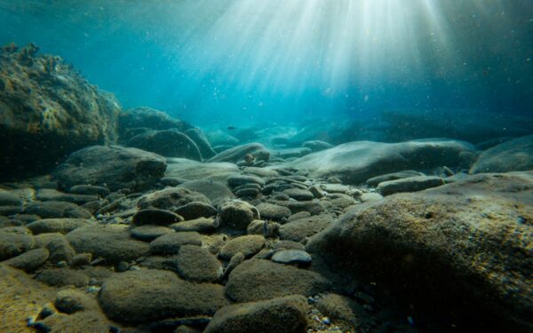 Dešimtmetį trukęs stebėjimas atskleidė bauginančią tiesą: pokyčiai vandenyno dugne gali sužlugdyti žvejybą