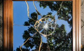 a window with a tree outside