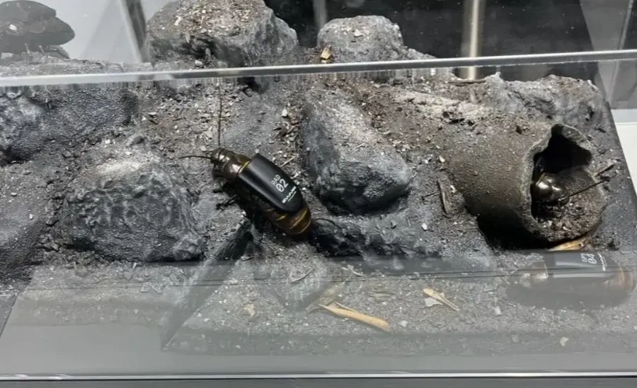 Vabzdžiai ar robotai? Startuolis pristatė bauginančią naują karinę technologiją, kuri stebina visus