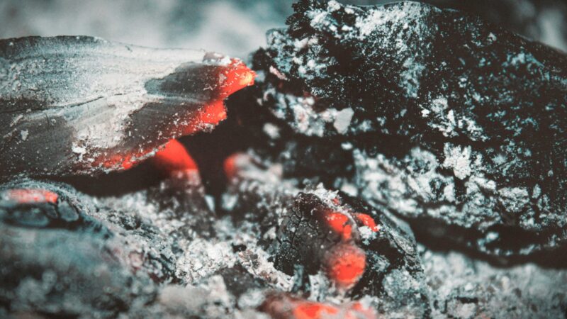 Nuodai ar nauda? Sužinokite, kurių 8 augalų niekada negalima barstyti pelenais, jei norite derliaus