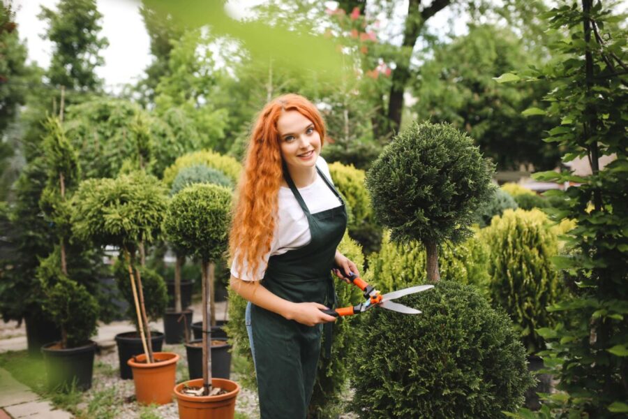 Trečiadienio augalų gidas: atraskite šiandienos kosminę horoskopo augalų eleganciją