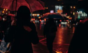 a group of people walking down a street holding umbrellas