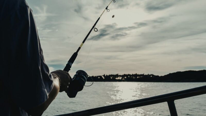 Įsigalioja žvejybos draudimai: saugomos nerštui besiruošiančios žuvys