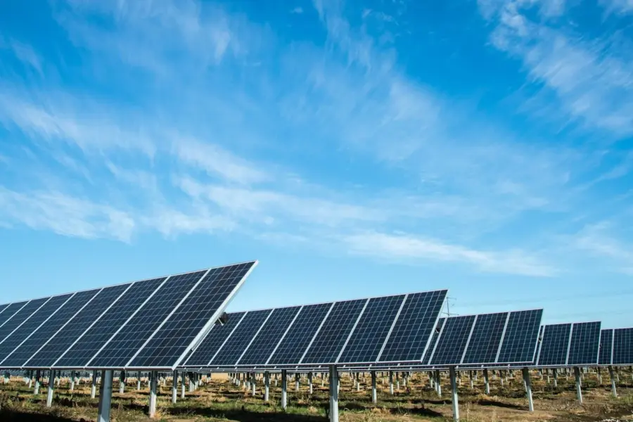 Saulės panelės