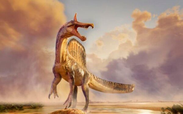 Šokiruojantis mokslininkų atradimas: rasta nauja dinozaurų rūšis, medžiojusi žuvis upėse