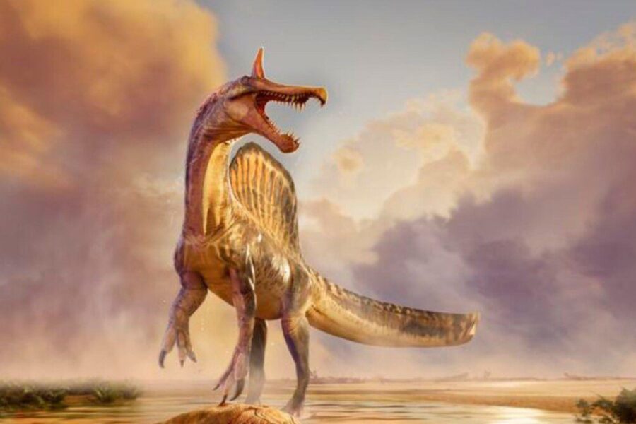 Šokiruojantis mokslininkų atradimas: rasta nauja dinozaurų rūšis, medžiojusi žuvis upėse