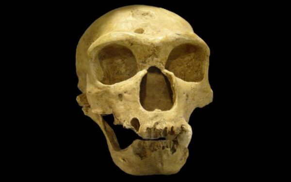 Netikėta mokslo tiesa: neandertaliečiai galėjo būti tokie pat protingi kaip Homo sapiens