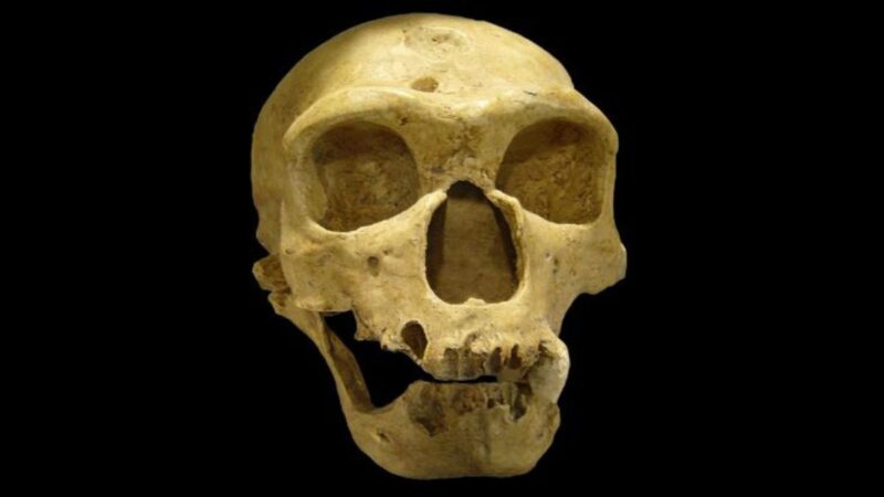 Netikėta mokslo tiesa: neandertaliečiai galėjo būti tokie pat protingi kaip Homo sapiens