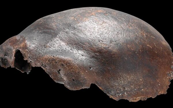 Subliuško 50 metų senumo paslaptis: paslaptinga kaukolė suklaidino mokslą