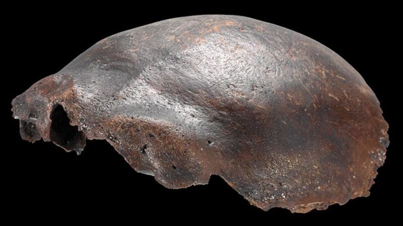 Subliuško 50 metų senumo paslaptis: paslaptinga kaukolė suklaidino mokslą