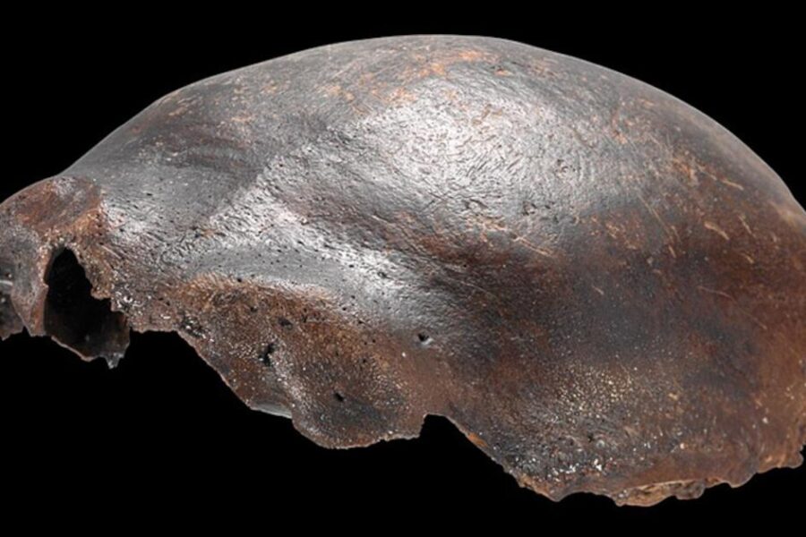 Subliuško 50 metų senumo paslaptis: paslaptinga kaukolė suklaidino mokslą