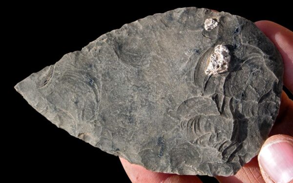 Mokslininkai negali patikėti: atrasti žmonių kaulai slepia šiurpią tiesą, įminti tūkstantmečio mįslė