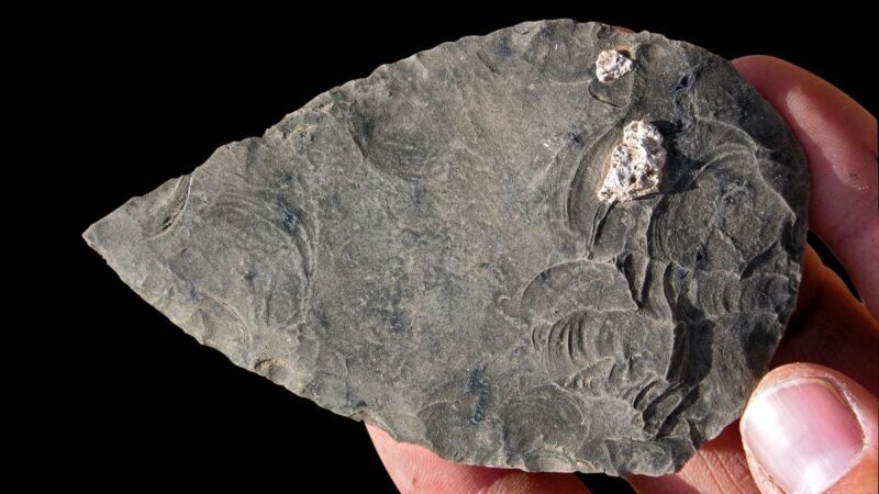 Mokslininkai negali patikėti: atrasti žmonių kaulai slepia šiurpią tiesą, įminti tūkstantmečio mįslė