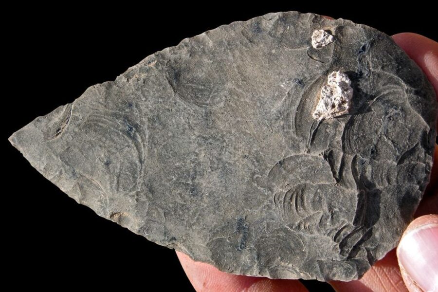 Mokslininkai negali patikėti: atrasti žmonių kaulai slepia šiurpią tiesą, įminti tūkstantmečio mįslė