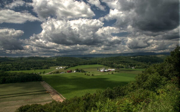 Tūkstančiai prašymų jau pateikti: ar valstybinė žemė netrukus išnyks iš rinkos?