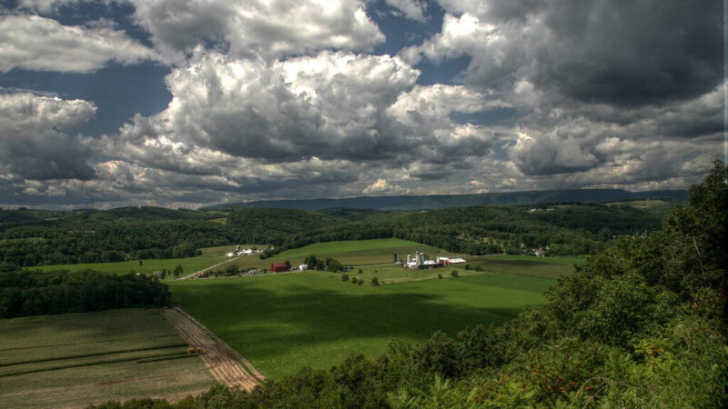 Tūkstančiai prašymų jau pateikti: ar valstybinė žemė netrukus išnyks iš rinkos?