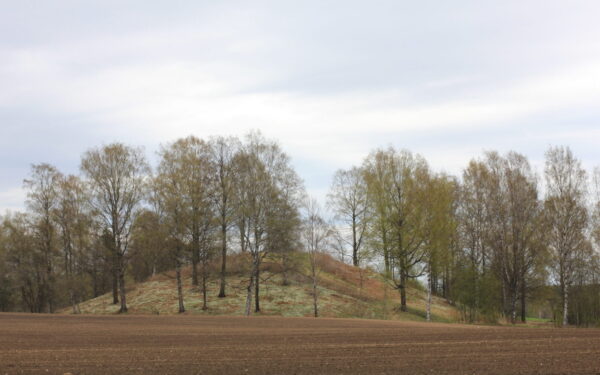 Raknehaugenas slepia paslaptį: archeologai peržiūri seną teoriją apie valdovo kapą