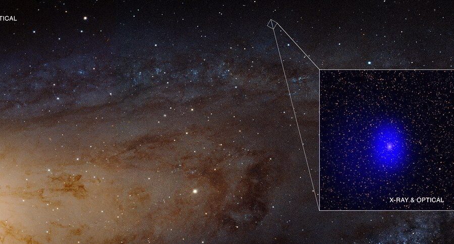 Mokslininkai siūlo naują paaiškinimą: sužinokite, kas sieja juodąsias skyles ir Higso lauką
