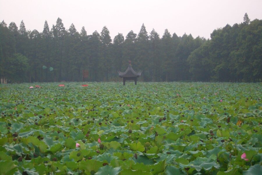 Unikali genetinė linija: atradimas atskleidė naują genetinę šaką, kuri keičia keičia poledynmečio istoriją