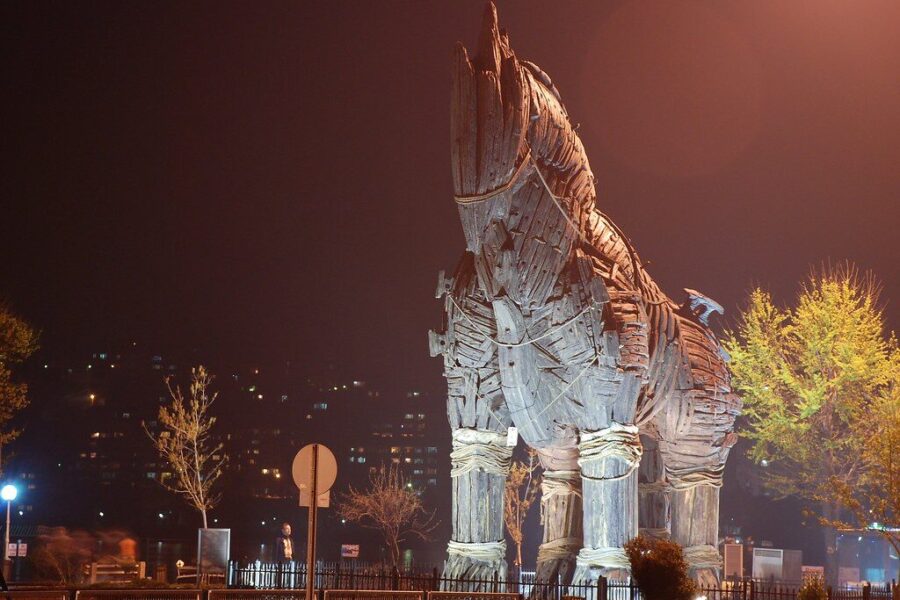 Trojos arklys. Openverse nuotr.