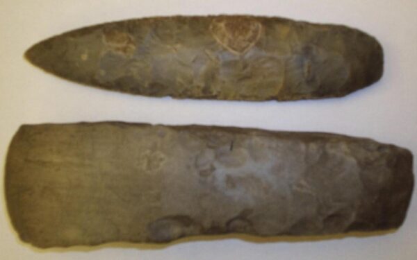 Išnykę gyvūnai pakeitė žmones: naujas tyrimas atskleidė, kodėl akmens įrankiai tapo lengvesni