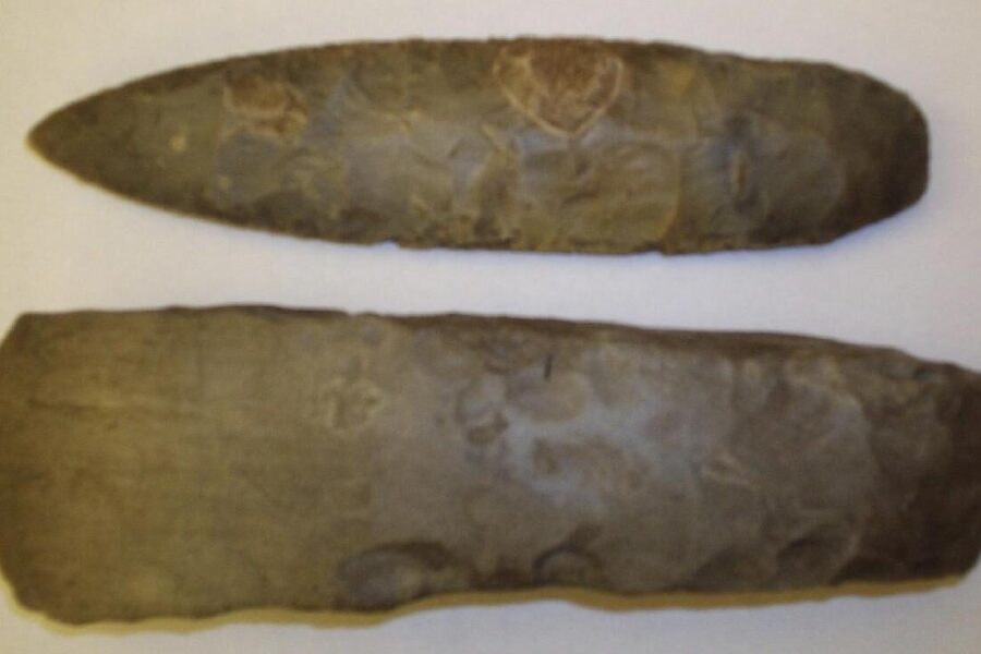 Išnykę gyvūnai pakeitė žmones: naujas tyrimas atskleidė, kodėl akmens įrankiai tapo lengvesni