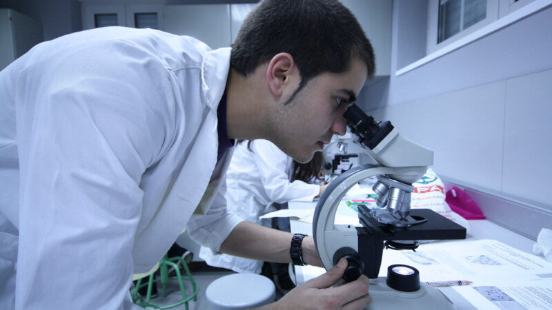 Medicinos studentai paliekami be pasirinkimo: siūlymas dėl rezidentų kelia vis daugiau pykčio