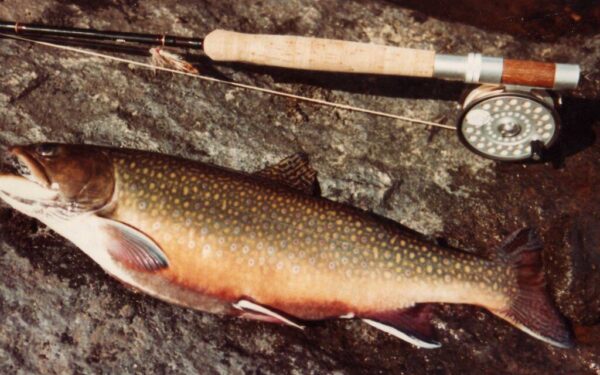 Žvejyba be mokesčių Lietuvoje – praeitis? Naujos taisyklės keičia žaidimą