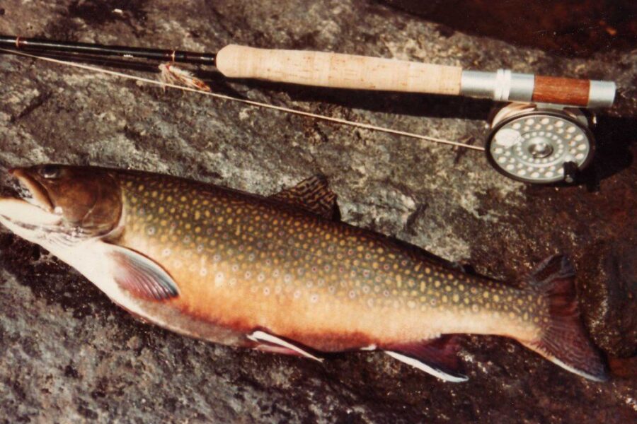 Žvejyba be mokesčių Lietuvoje – praeitis? Naujos taisyklės keičia žaidimą